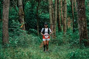 BIB: 
                            <button type="button" onclick="openModal(25237680)" class="btn btn-primary btn-sm float-right btn-popup" data-toggle="modal" data-target=".modal-high-quality">
                        <i class="fas fa-shopping-cart"></i> Add to Cart
                    </button>
                                            <button type="button" onclick="isThisMe(25237680, true)" class="btn btn-success btn-sm float-right btn-popup btn-isme hidden" data-toggle="tooltip" data-placement="bottom" title="นี่คือรูปของคุณใช่ไหม คลิกที่นี่เพื่อเอาเข้าอัลบั้ม">
                        <i class="fas fa-plus"></i> Add to album
                    </button>
                    <button type="button" onclick="isThisMe(25237680, false)" class="btn btn-warning btn-sm float-right btn-popup btn-isnotme hidden">
                        <i class="fas fa-ban"></i> Remove from album
                    </button>